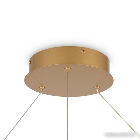 Подвесная люстра Maytoni Rim MOD058PL-L65BSK – фото товара