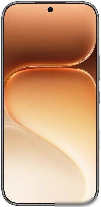 Телефон HONOR 600 Dual SIM 8GB/256GB международная версия (черный) – фото товара