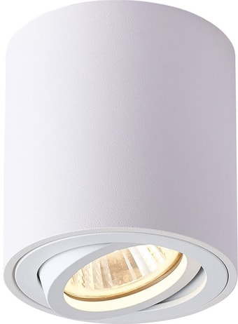 Точечный светильник Feron ML179 41469 – изображение в каталоге