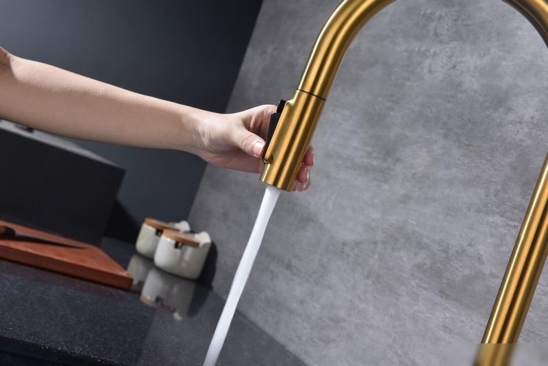 Смеситель Paulmark Iniversal Un213880-BG (золото/брашированное золото) - фото товара