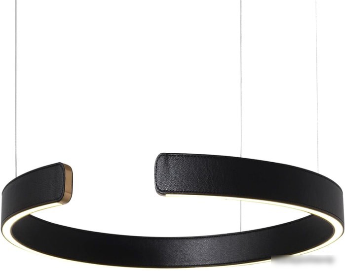 Подвесная люстра LOFT IT Ring 10025/400 Black – фото товара