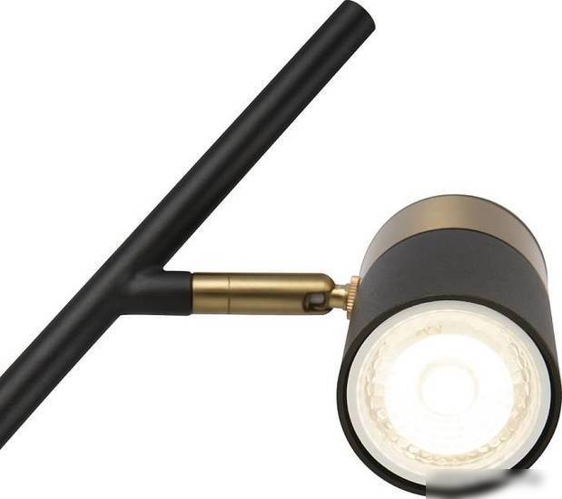 Настольная лампа Freya Enzo FR5201TL-01B – фото товара