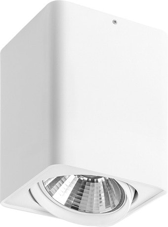Точечный светильник Lightstar Monocco 212636 – изображение в каталоге