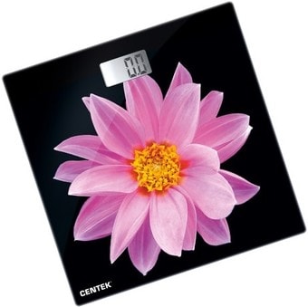 CENTEK CT-2416 Pink Flower