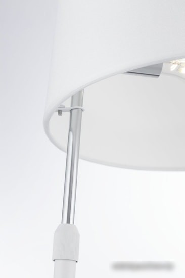 Лампа Maytoni Bergamo MOD613TL-01W – фото товара