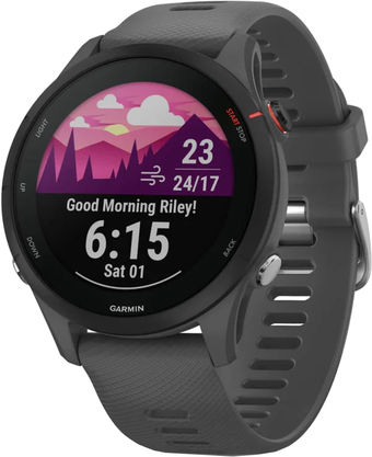 Умные часы Garmin Forerunner 255 46 мм (сланцево-серый/черный) – изображение в каталоге