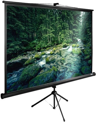 Проекционный экран CACTUS TriExpert 165x220 CS-PSTE-220X165-BK – изображение в каталоге