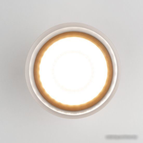 Уличный накладной светильник Elektrostandard Light LED 2107 35140/H (черный) – фото товара