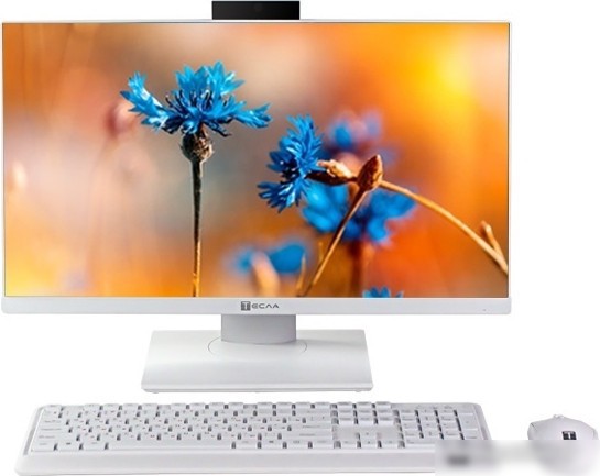 Моноблок ТЕСЛА P24WP 2416500 – фото товара