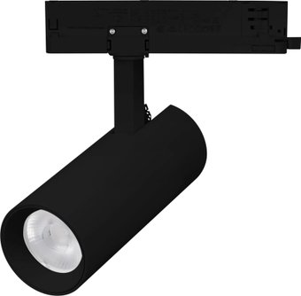 Трековый светильник Arlight LGD-GERA-2TR-R60-15W Warm3000 BK 36deg 055067 – изображение в каталоге